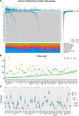 A Pyroptosis-Related Signature Predicts Overall Survival and Immunotherapy Responses in Lung Adenocarcinoma